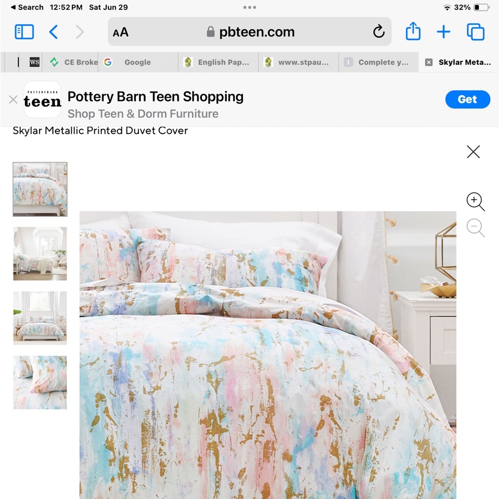 Pottery Barn Duvet and Sham (twin xl)